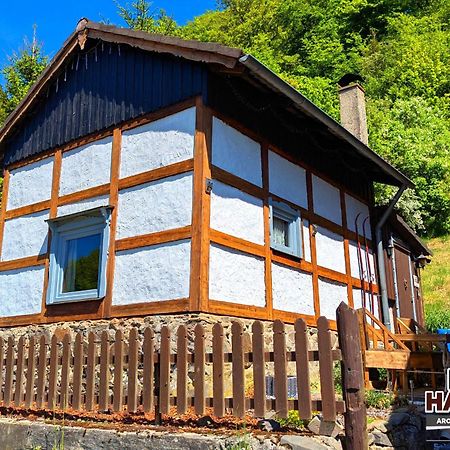 Arode Huette Harzilein - Romantic Tiny House On The Edge Of The Forest Zorge Luaran gambar